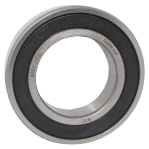 6007 2RS ROLAMENTO HP BULK - OBM