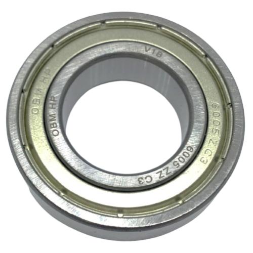 6005 ZZ C3 ROLAMENTO HP BULK - OBM