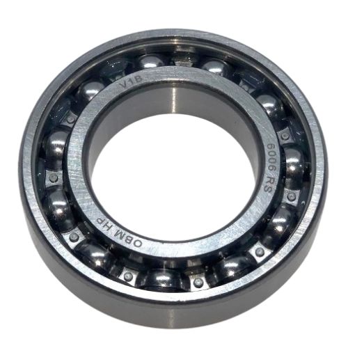6006 RS ROLAMENTO HP BULK - OBM